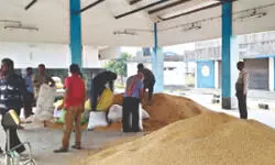 Ration dealers’ body threatens nationwide stir over ‘CBDC rollout’