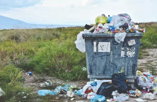 Living The Change We Need Living The Change We Need