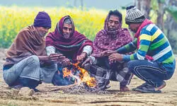 ‘Temp to plunge further over the next few days’