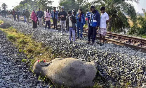 Railways to extend AI-based system on 981-km track in Northeast to protect wild animals