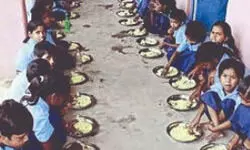 Malda horticulture dept to train school teachers, students in ginger cultivation