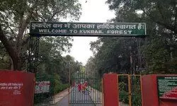 Ecotourism facilities being developed in Kukrail Forest Area to offer a close-to-nature experience