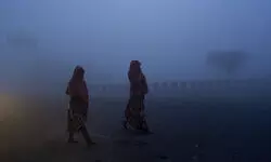 60 arrivals, 58 departures flights cancelled at Delhi airport due to dense fog