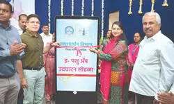 Digital Cattle Revolution Digital Cattle Revolution