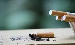 Additional excise duty on tobacco, health cess on pan masala to be effective Feb 1