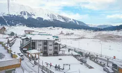 IMD predicts cold wave and dense fog as winter tightens grip across North IMD predicts cold wave and dense fog as winter tightens grip across North