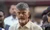 Chandrababu Naidu credits policy reforms for Andhra Pradeshs lead with 25.3% share in proposed investments in FY26 Chandrababu Naidu credits policy reforms for Andhra Pradeshs lead with 25.3% share in proposed investments in FY26