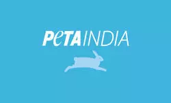 PETA India writes to PMO, flags proposal to confine stray dogs for life