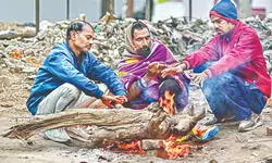 North India shivers as cold wave persists