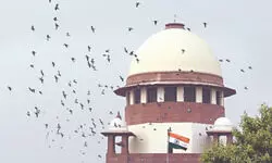 SC to examine NCLT’s power   to transfer cases outside state