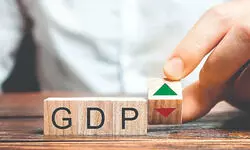 India’s ‘Goldilocks’ economic narrative under strain as policy gridlock deepens, says report