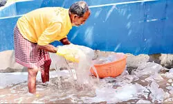 Gangasagar Mela plastic waste   to be used for road construction