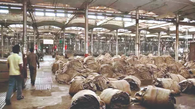 TMC MP snubs Centre over move to replace jute with plastic bags TMC MP snubs Centre over move to replace jute with plastic bags