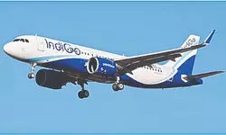 IndiGo flight disruptions: CCI seeks info from airline