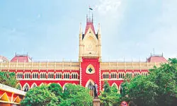 Custody orders must prioritise   child welfare: Calcutta High Court
