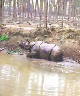 Nation Briefs Nation Briefs