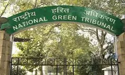 NGT seeks water quality data of Yamuna river from Delhi Pollution Control Committee NGT seeks water quality data of Yamuna river from Delhi Pollution Control Committee