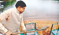 Reviving a Lost Chapter of Madhya Pradesh’s Biodiversity