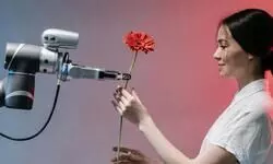 Sense and Sensibility: To Be or Not To Be AI? Sense and Sensibility: To Be or Not To Be AI?