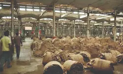 Stakeholders’ meet called amid raw jute crunch Stakeholders’ meet called amid raw jute crunch