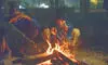 Cold wave tightens grip across north India Cold wave tightens grip across north India