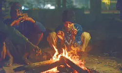 Cold wave tightens grip across north India Cold wave tightens grip across north India