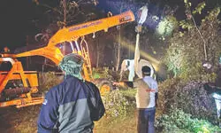 Elephant tranquilised after night-long op, sent to Baikunthapur