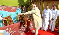 Pongal a global festival, cherished by Tamil community world over: PM Modi