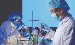 Psychological safety improves work-life balance in healthcare: Report