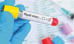 Nipah virus: Home quarantine expands in East Burdwan