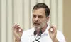 EC gaslighting citizens: Rahul on indelible ink row in Maharashtra civic polls