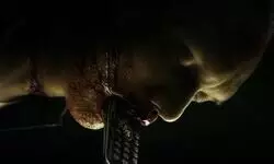 Bhumi Pednekar’s ‘Daldal’ to premiere on January 30