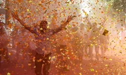 Saffron surge in civic polls as BJP clinches 1,425 seats across 29 municipal corporations