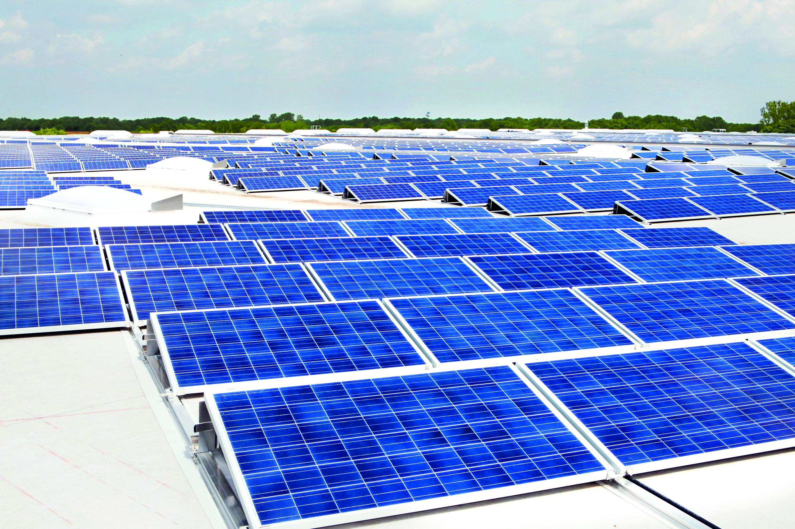 CSPDCL gives exemptions to employees from mandatory installation of rooftop solar panels