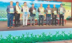 ‘North Bengal SMEs poised to benefit from India–UK CETA’