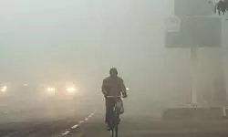 Fog-hit roads claim 4 lives in Haryana, UP