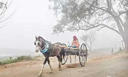 Winter fading, warmer   days ahead, says MeT