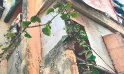 Neglect and decay plague Delhi Police staff quarters, residents flag concerns