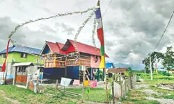 Tiger sighting in Buxa Reserve revives hope for conservation