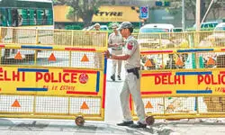 Woman held for using forged embassy number plate on car Woman held for using forged embassy number plate on car