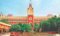 HC upholds interim injunction on Narayan Debnath’s works HC upholds interim injunction on Narayan Debnath’s works