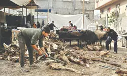 Israel says remains of final hostage in Gaza recovered