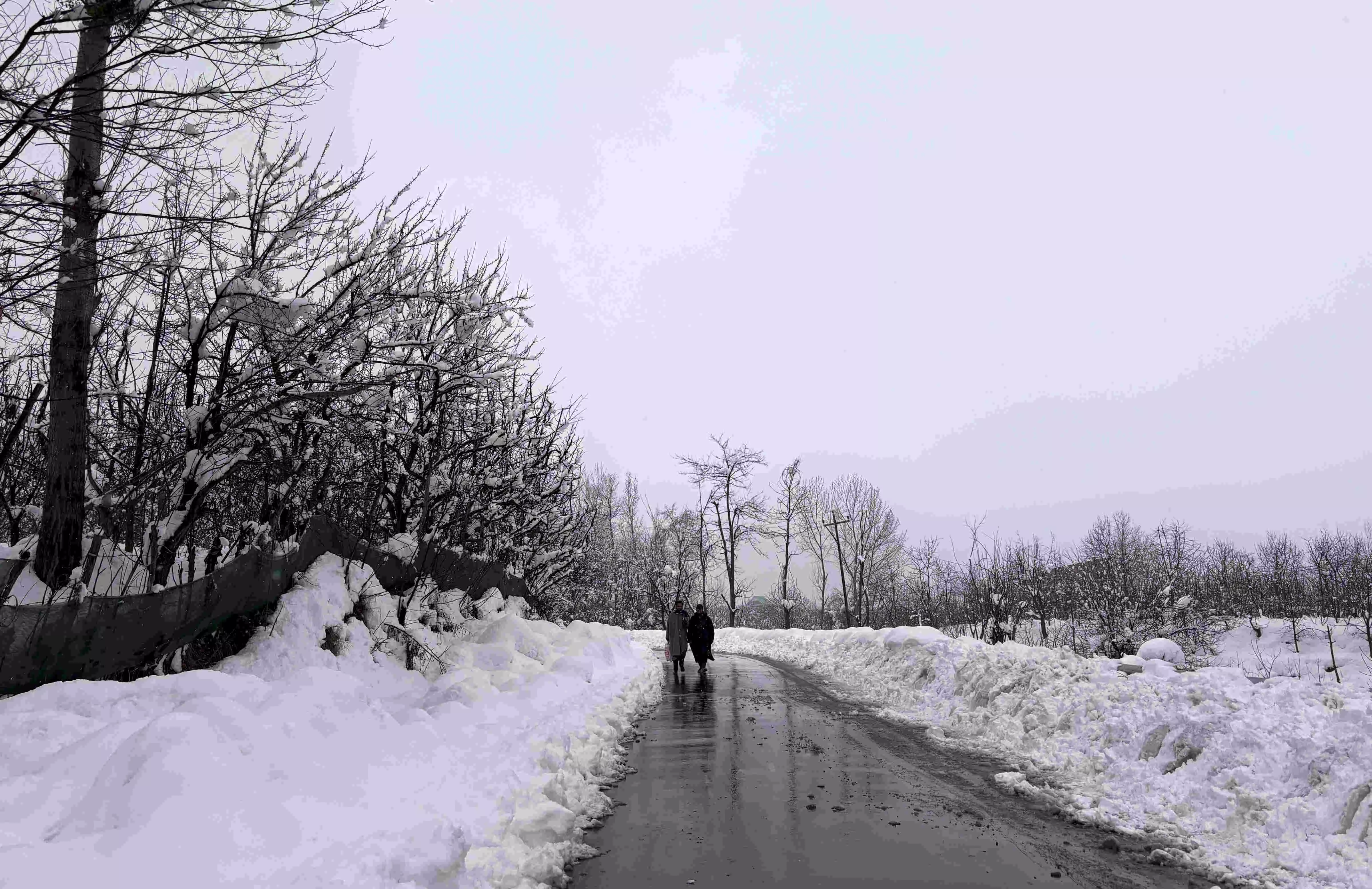 All flights to and from Srinagar cancelled due to snowfall, tourists stranded All flights to and from Srinagar cancelled due to snowfall, tourists stranded