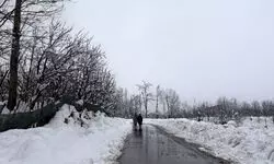 All flights to and from Srinagar cancelled due to snowfall, tourists stranded