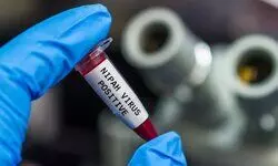 Airports across Asia reintroduce health checks following Nipah virus outbreak in India