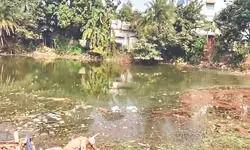 Balurghat Municipality restores century-old pond in Kundu Colony