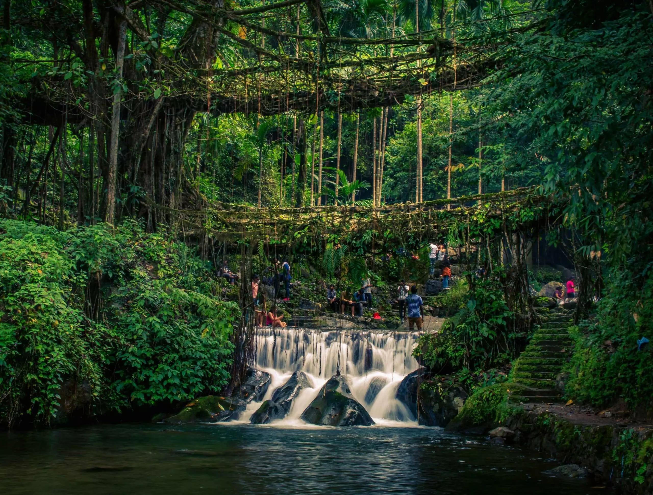 India submits nomination of Meghalayas living root bridges for UNESCO World Heritage site India submits nomination of Meghalayas living root bridges for UNESCO World Heritage site