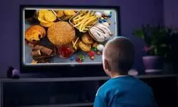 Ban advertising of ultra-processed foods from 6 am-11 pm: Eco Survey Ban advertising of ultra-processed foods from 6 am-11 pm: Eco Survey