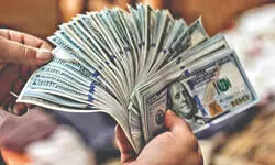 Survey calls for multi-pronged strategy to strengthen FDI Survey calls for multi-pronged strategy to strengthen FDI