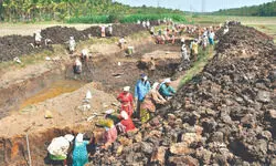 Path to Resilient Livelihoods